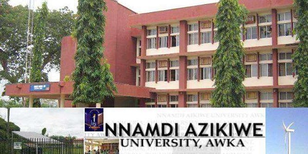 UNIZIK Direct Entry form